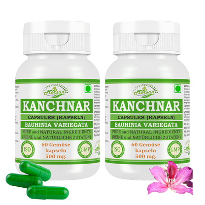 KANCHNAR-KAPSELN - BAUHINIA VARIEGATA - 60 vegetarische Kapseln à 500 mg - REIN und NATÜRLICH
