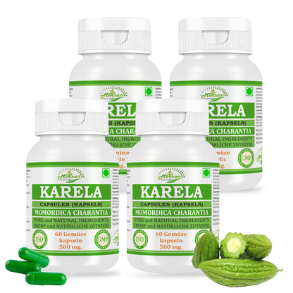 Morsan Nutraveda’s Karela (Momordica Charantia, Bitter Melon) Capsule | 10:1 Highest Potency Extract | 100 % Natural Product | Pack of 60 x 500 mg. Veg. Capsules