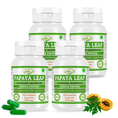 PAPAYABLATT-KAPSELN - CARICA PAPAYA - 60 Gemüsekapseln 500 mg - REIN und NATÜRLICH