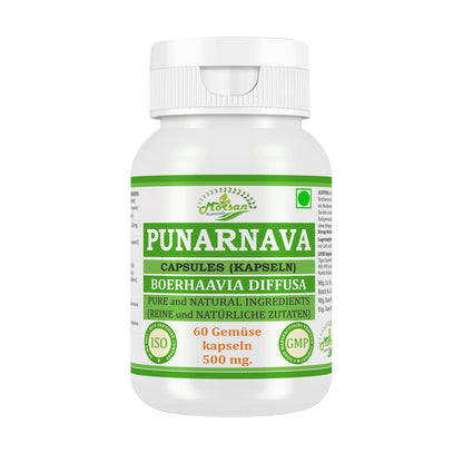 Morsan Nutraveda Punarnava (Boerhaavia Diffusa, Punernava) Kapseln | 10:1 hochkonzentrierter Extrakt | 100 % Naturprodukt | Packung mit 60 x 500 mg Veg.-Kapseln