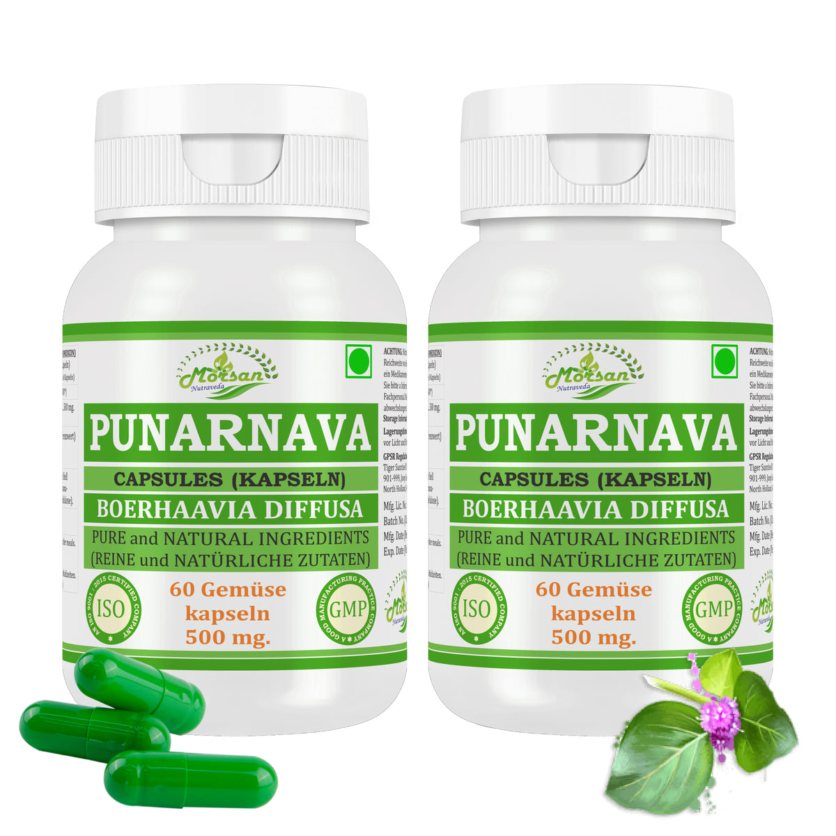 Morsan Nutraveda Punarnava (Boerhaavia Diffusa, Punernava) Kapseln | 10:1 hochkonzentrierter Extrakt | 100 % Naturprodukt | Packung mit 60 x 500 mg Veg.-Kapseln