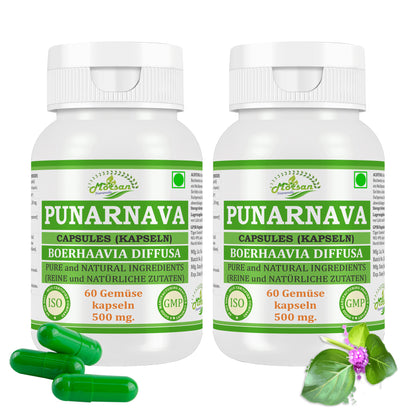 Morsan Nutraveda Punarnava (Boerhaavia Diffusa, Punernava) Kapseln | 10:1 hochkonzentrierter Extrakt | 100 % Naturprodukt | Packung mit 60 x 500 mg Veg.-Kapseln