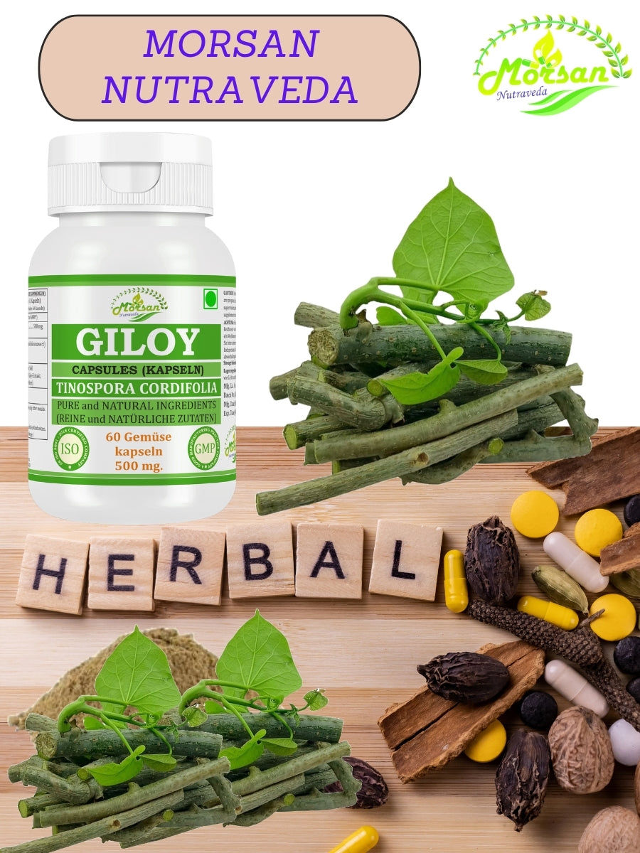 Morsan Nutraveda Giloy (Tinospora Cordifolia, Guduchi) Kapseln | 10:1 hochkonzentrierter Extrakt | 100 % Naturprodukt | Packung mit 60 x 500 mg Vegi-Kapseln