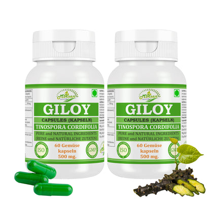 Morsan Nutraveda Giloy (Tinospora Cordifolia, Guduchi) Kapseln | 10:1 hochkonzentrierter Extrakt | 100 % Naturprodukt | Packung mit 60 x 500 mg Vegi-Kapseln
