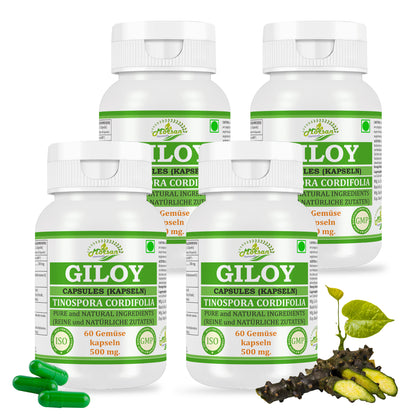 Morsan Nutraveda Giloy (Tinospora Cordifolia, Guduchi) Kapseln | 10:1 hochkonzentrierter Extrakt | 100 % Naturprodukt | Packung mit 60 x 500 mg Vegi-Kapseln