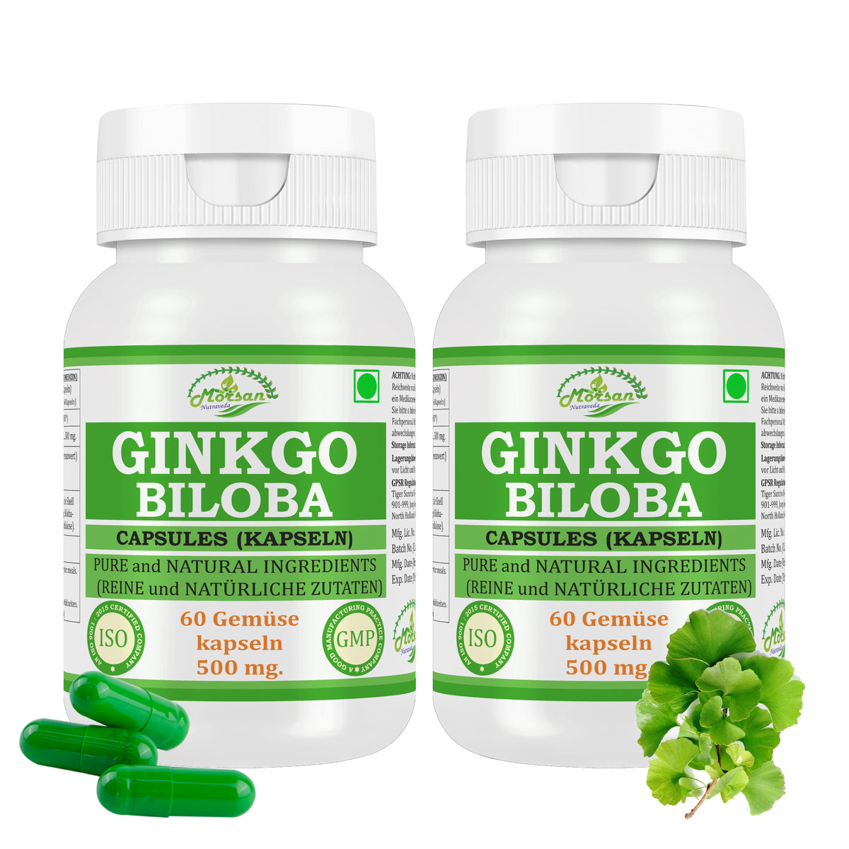 GINKGO BILOBA KAPSELN - 60 Gemüsekapseln 500 mg - REIN und NATÜRLICH