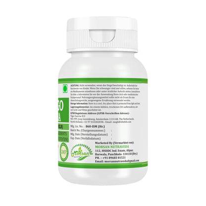 GINKGO BILOBA KAPSELN - 60 Gemüsekapseln 500 mg - REIN und NATÜRLICH