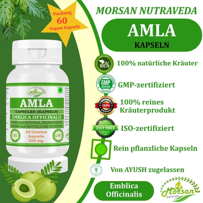 morsan-nutraveda-aloe-vera-500mg-60-vegane-kapseln