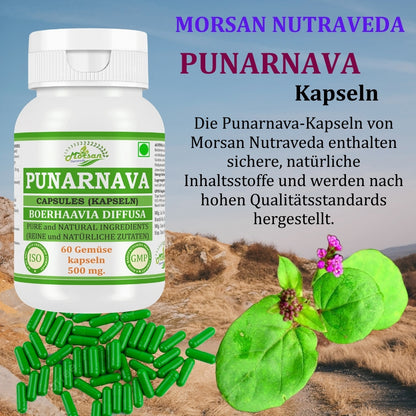 Morsan Nutraveda Punarnava (Boerhaavia Diffusa, Punernava) Kapseln | 10:1 hochkonzentrierter Extrakt | 100 % Naturprodukt | Packung mit 60 x 500 mg Veg.-Kapseln