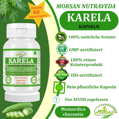 Morsan Nutraveda’s Karela (Momordica Charantia, Bitter Melon) Capsule | 10:1 Highest Potency Extract | 100 % Natural Product | Pack of 60 x 500 mg. Veg. Capsules