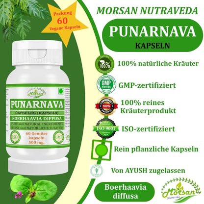 Morsan Nutraveda Punarnava (Boerhaavia Diffusa, Punernava) Kapseln | 10:1 hochkonzentrierter Extrakt | 100 % Naturprodukt | Packung mit 60 x 500 mg Veg.-Kapseln