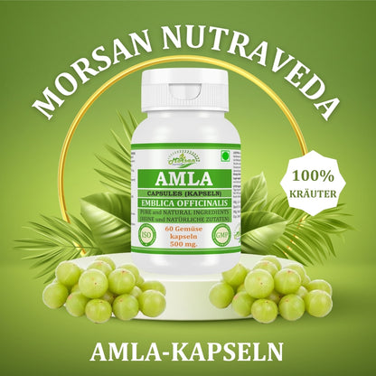 morsan-nutraveda-aloe-vera-500mg-60-vegane-kapseln