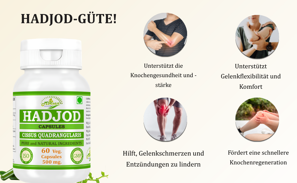 Morsan Nutraveda Hadjod Kapseln (Cissus quadrangularis) | 10:1 Extrakt | 500 mg | 60 vegetarische Kapseln | Pflanzliches Nahrungsergänzungsmittel