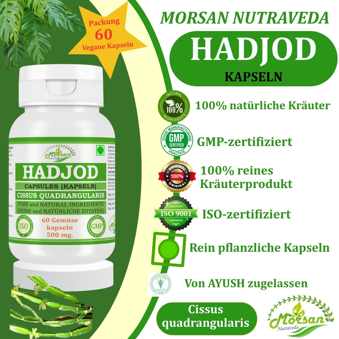 Morsan Nutraveda Hadjod Kapseln (Cissus quadrangularis) | 10:1 Extrakt | 500 mg | 60 vegetarische Kapseln | Pflanzliches Nahrungsergänzungsmittel
