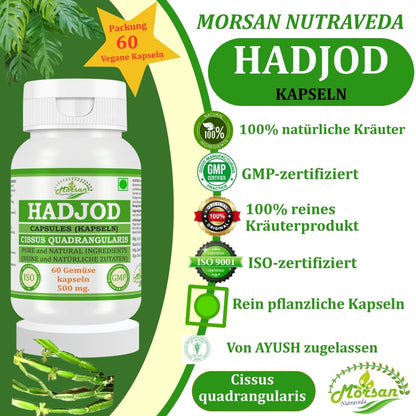 Morsan Nutraveda Hadjod Kapseln (Cissus quadrangularis) | 10:1 Extrakt | 500 mg | 60 vegetarische Kapseln | Pflanzliches Nahrungsergänzungsmittel