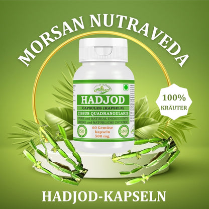 Morsan Nutraveda Hadjod Kapseln (Cissus quadrangularis) | 10:1 Extrakt | 500 mg | 60 vegetarische Kapseln | Pflanzliches Nahrungsergänzungsmittel