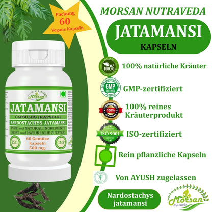 Morsan Nutraveda Jatamansi (Nardostachys Jatamansi) Kapseln | 10:1 hochkonzentrierter Extrakt | 100% natürliches Produkt | Packung mit 60 x 500 mg Vegi-Kapseln
