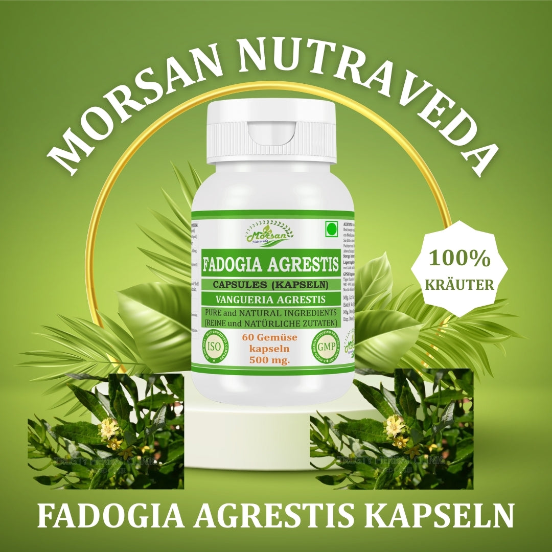 Morsan Nutraveda’s Fadogia Agrestis (Vangueria Agrestis) Capsule | 10:1 Highest Potency Extract | 100 % Natural Product | Pack of 60 x 500 mg. Veg. Capsules