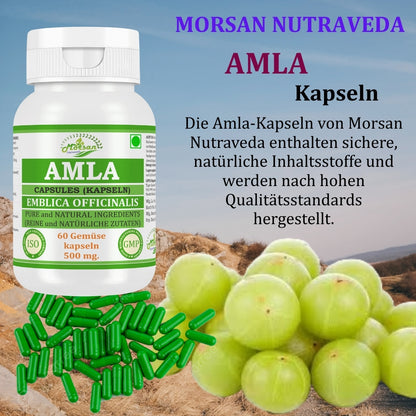 morsan-nutraveda-aloe-vera-500mg-60-vegane-kapseln