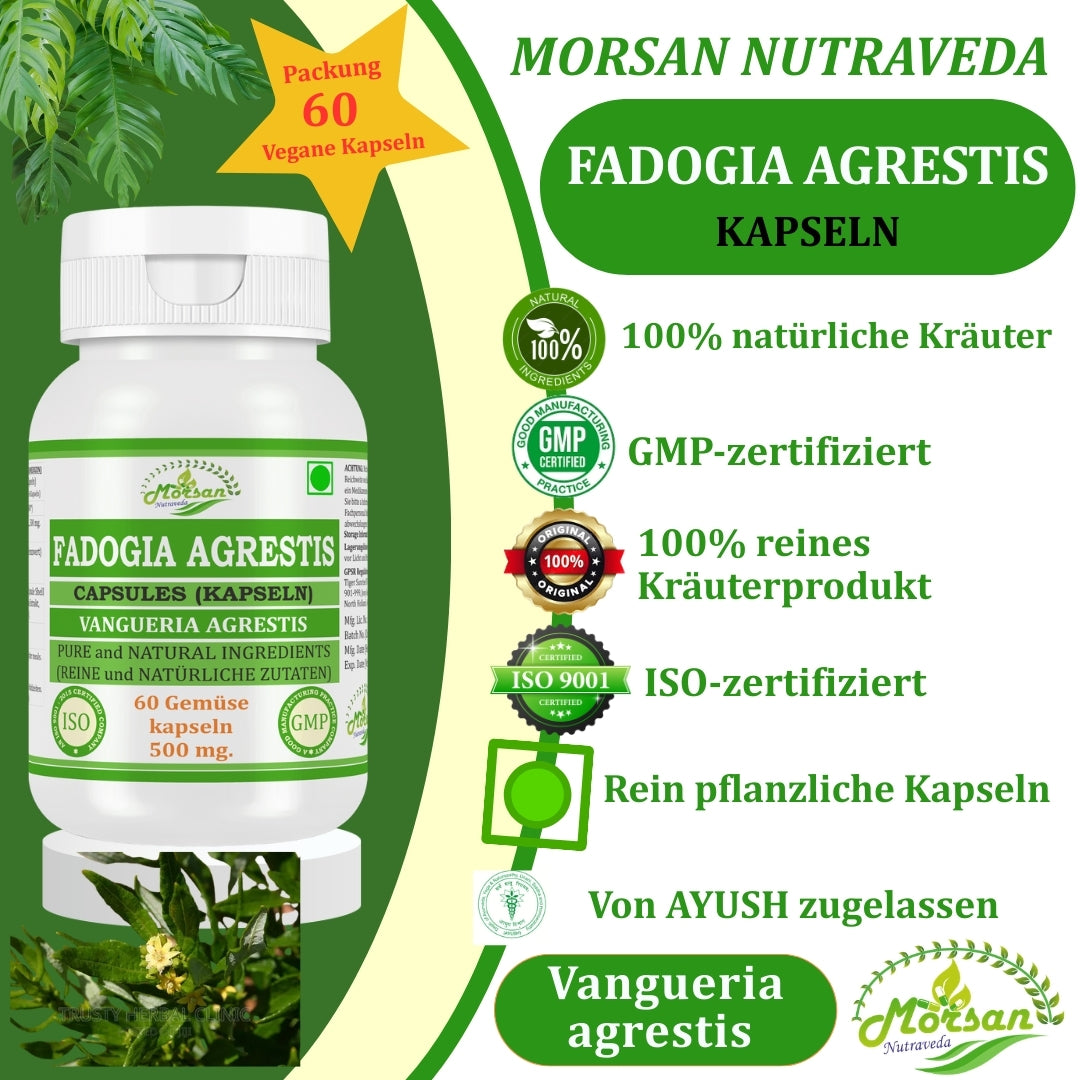 Morsan Nutraveda’s Fadogia Agrestis (Vangueria Agrestis) Capsule | 10:1 Highest Potency Extract | 100 % Natural Product | Pack of 60 x 500 mg. Veg. Capsules