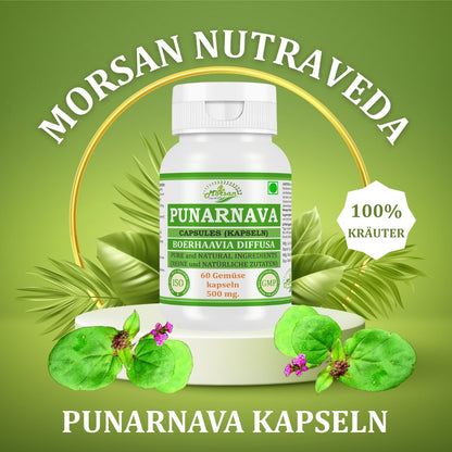 Morsan Nutraveda Punarnava (Boerhaavia Diffusa, Punernava) Kapseln | 10:1 hochkonzentrierter Extrakt | 100 % Naturprodukt | Packung mit 60 x 500 mg Veg.-Kapseln