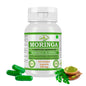 MORINGA-KAPSELN - MORINGA OLEIFERA - 60 Gemüsekapseln 500 mg.