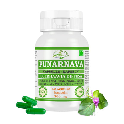 Morsan Nutraveda Punarnava (Boerhaavia Diffusa, Punernava) Kapseln | 10:1 hochkonzentrierter Extrakt | 100 % Naturprodukt | Packung mit 60 x 500 mg Veg.-Kapseln