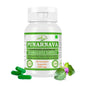 Morsan Nutraveda Punarnava (Boerhaavia Diffusa, Punernava) Kapseln | 10:1 hochkonzentrierter Extrakt | 100 % Naturprodukt | Packung mit 60 x 500 mg Veg.-Kapseln