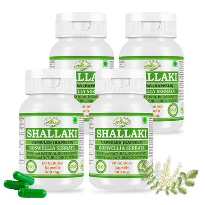 SHALLAKI KAPSELN - BOSWELLIA SERRATA - 60 vegetarische Kapseln 500 mg.