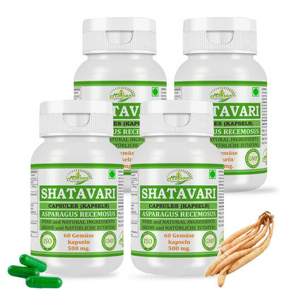 SHATAVARI-KAPSELN - ASPARAGUS RACEMOSUS - 60 pflanzliche Kapseln à 500 mg.